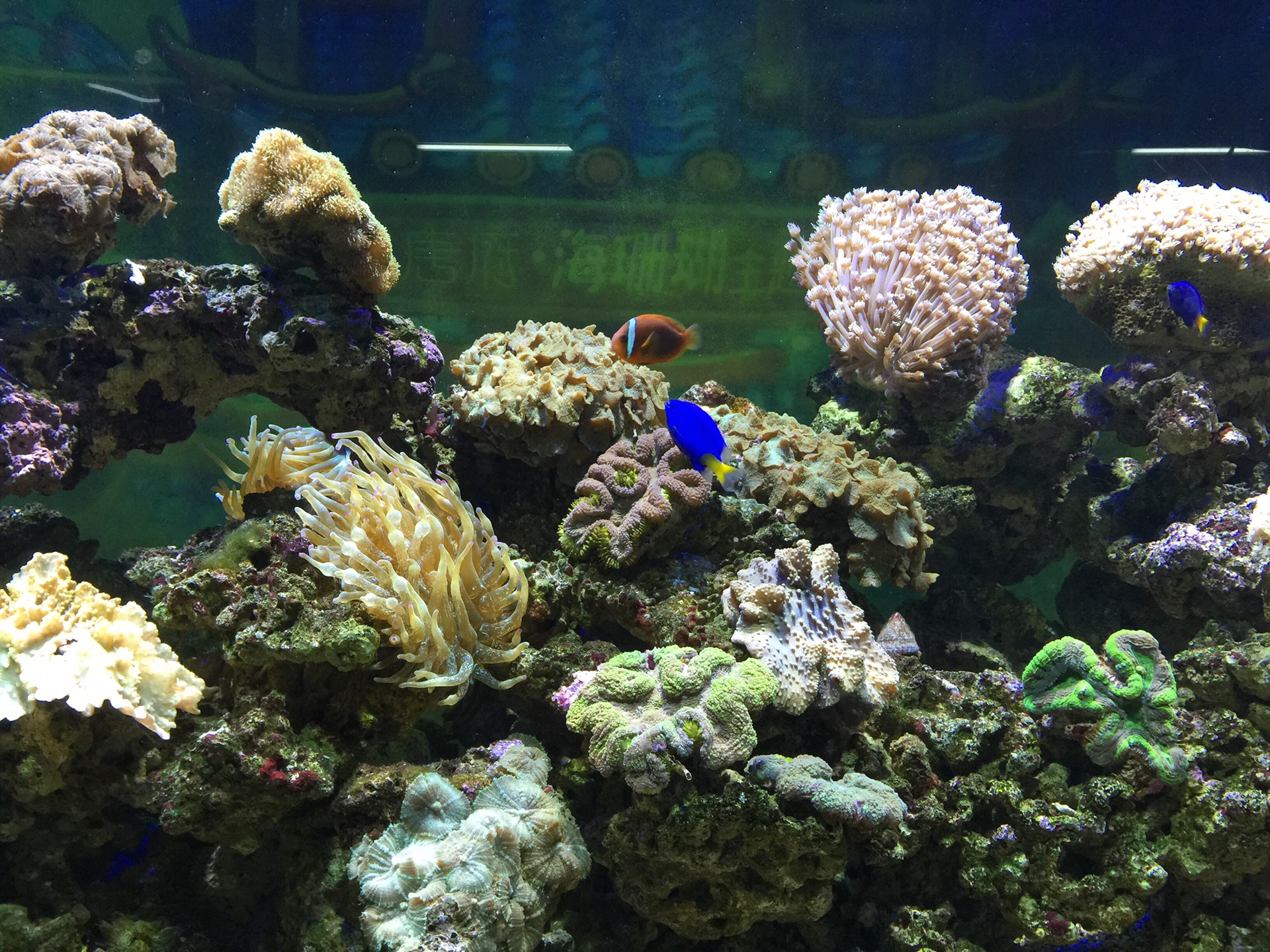 遗失的美好,2015暑期湛江行