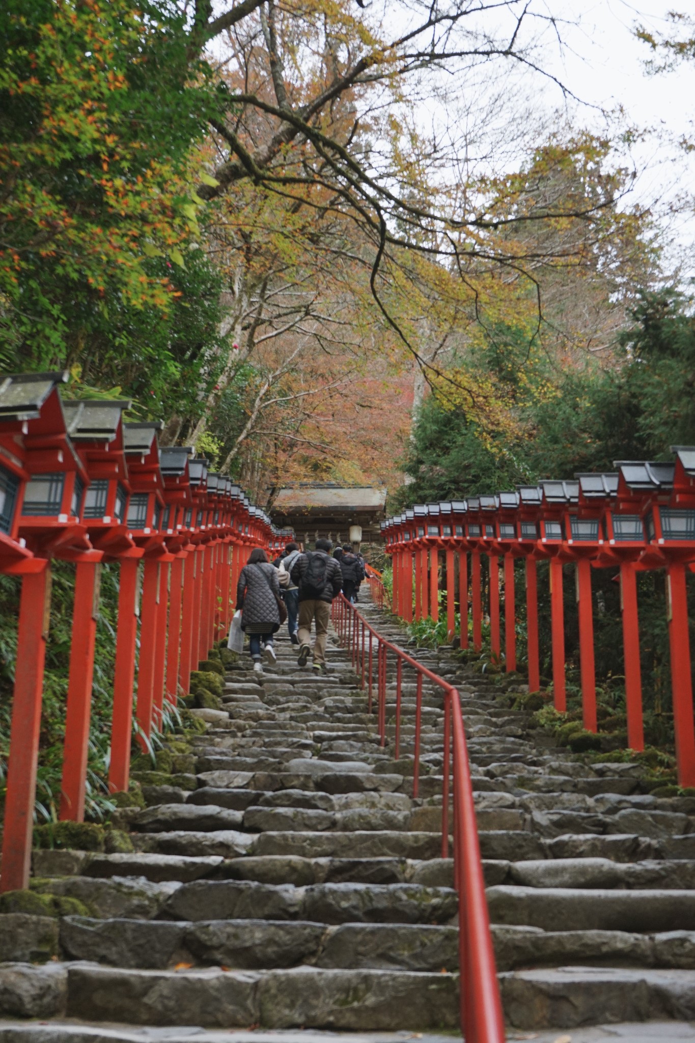 京都自助遊攻略