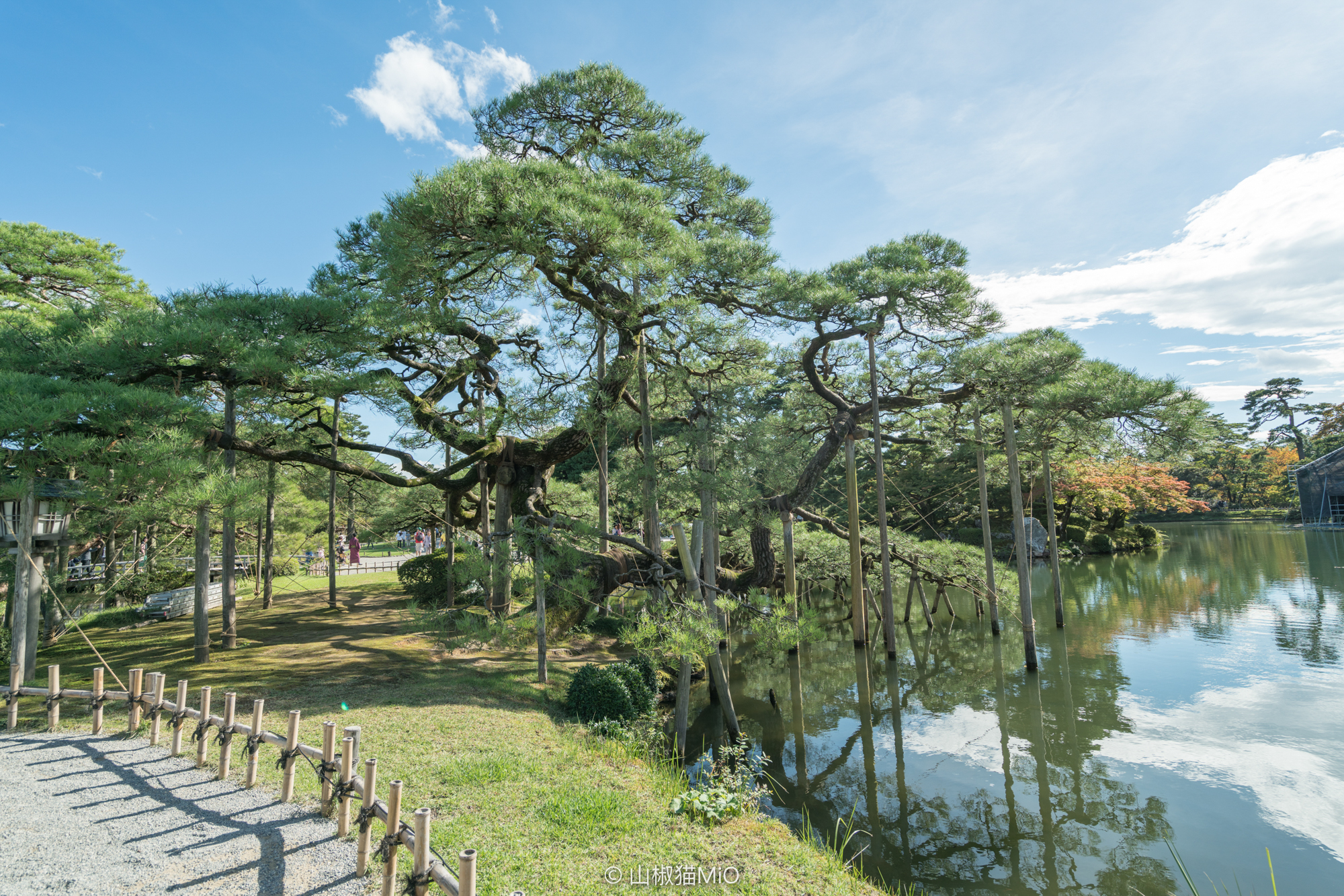 白川鄉自助遊攻略