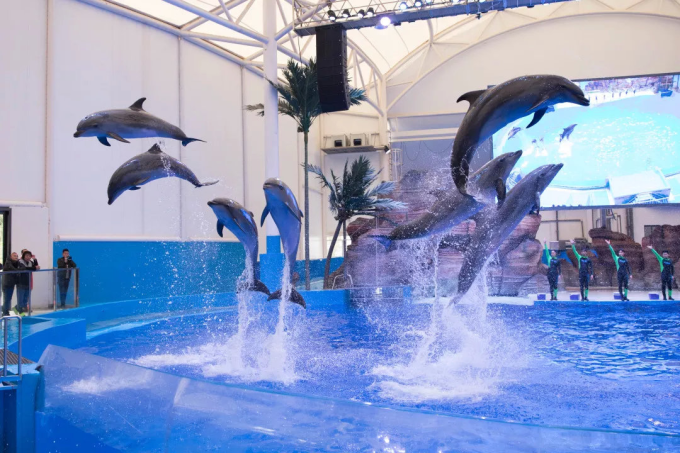 海洋大世界完整视频 wKgED1xjhRGAG636AC-Mzhoq2_c001.png?imageView2%2F2%2Fw%2F680%2Fq%2F90%7CimageMogr2%2Fstrip%2Fquality%2F90