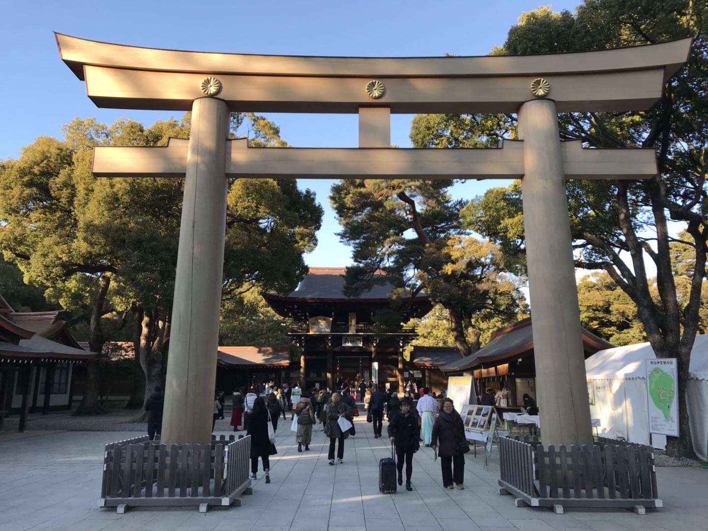 日本明治神宮新年許願半日遊