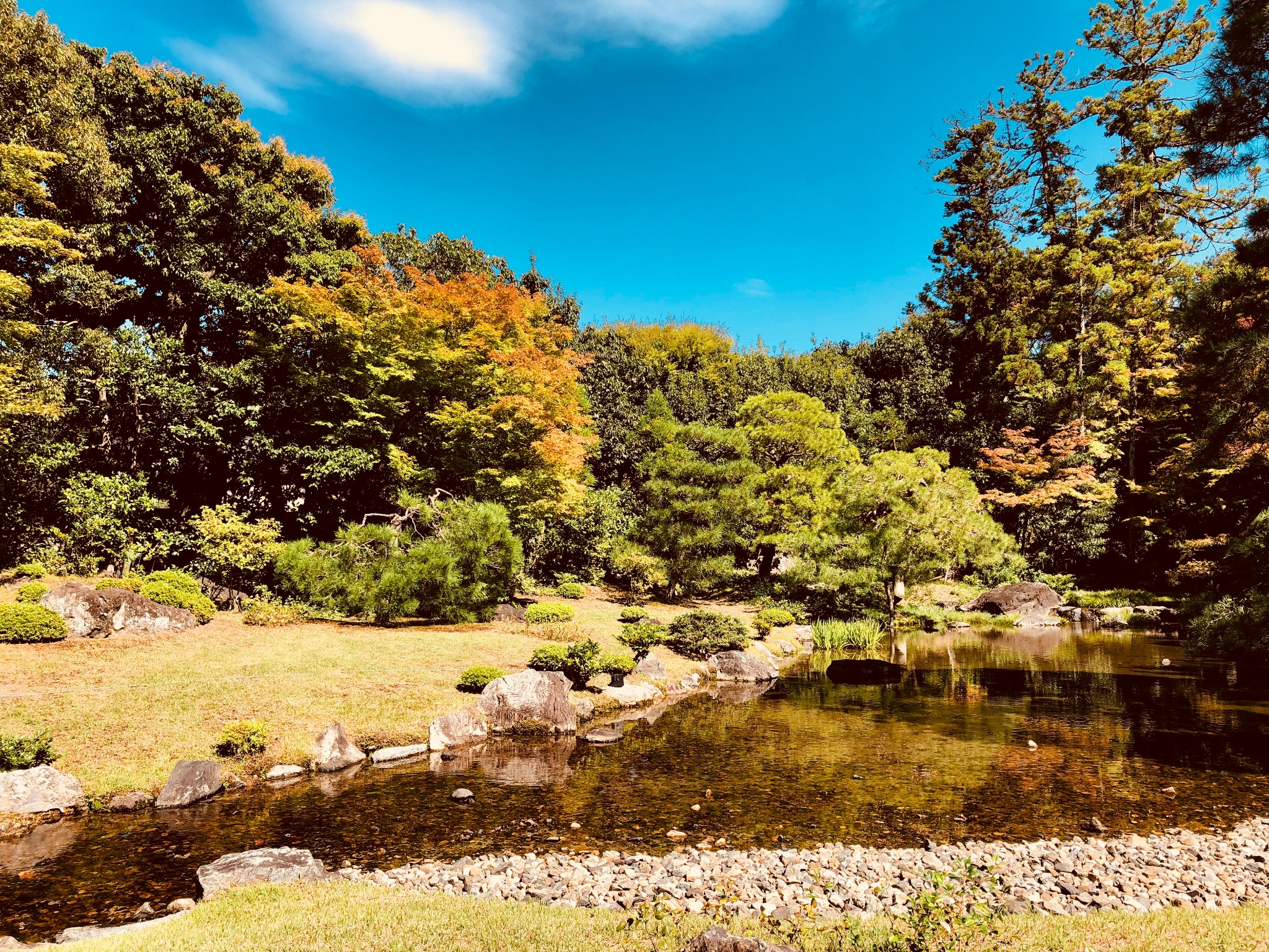 京都自助遊攻略