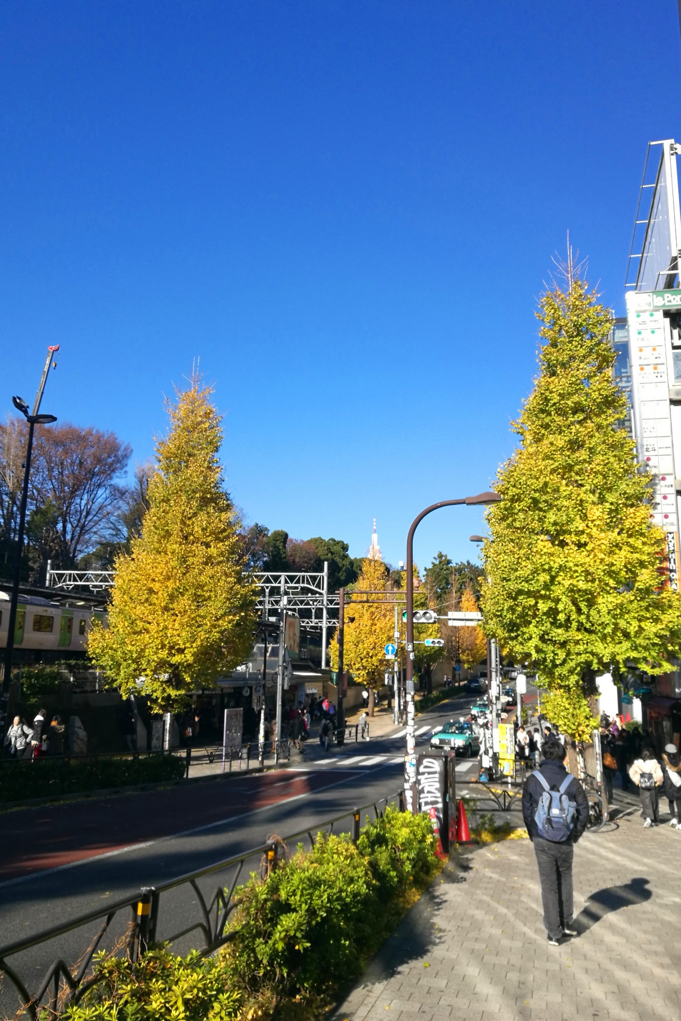 札幌自助遊攻略