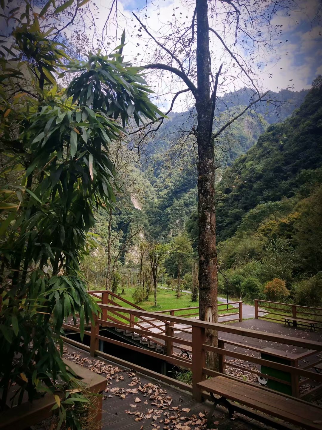成都周边游蜂桶寨邓池沟神木垒