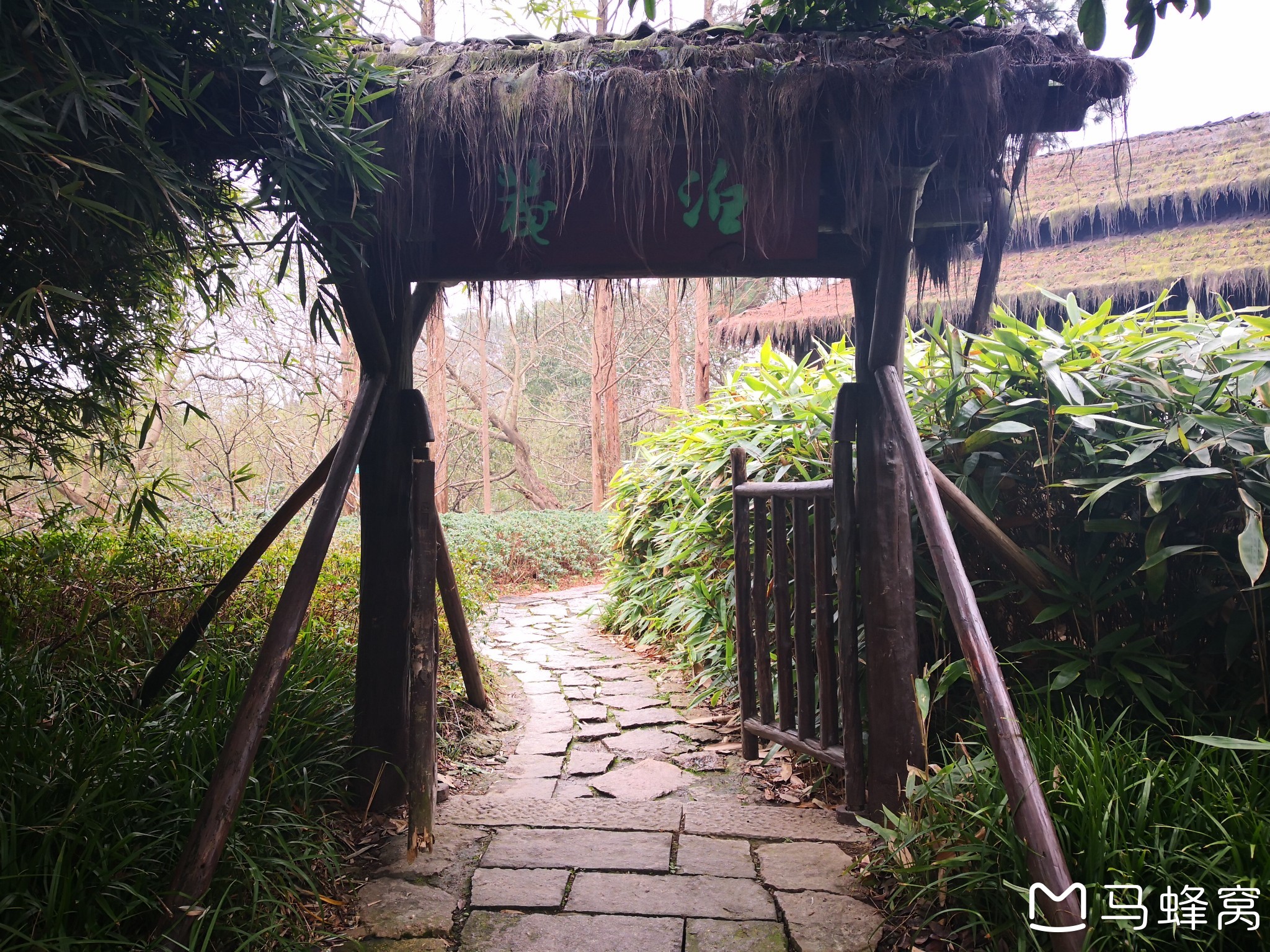 "一曲溪流一曲烟"之"泊庵"--游览杭州西溪湿地部分区域(三)