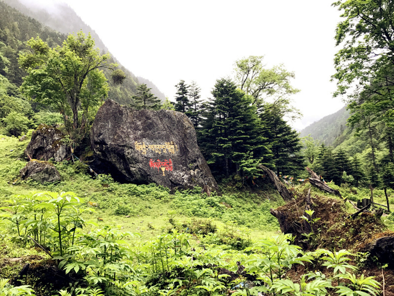 雨崩自助遊攻略