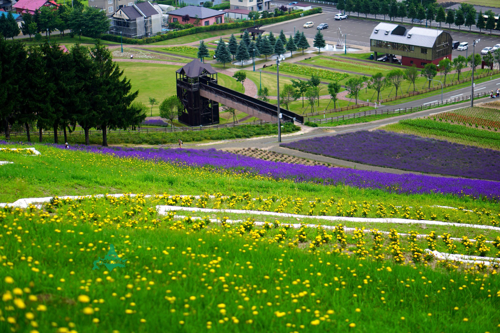 北海道自助遊攻略