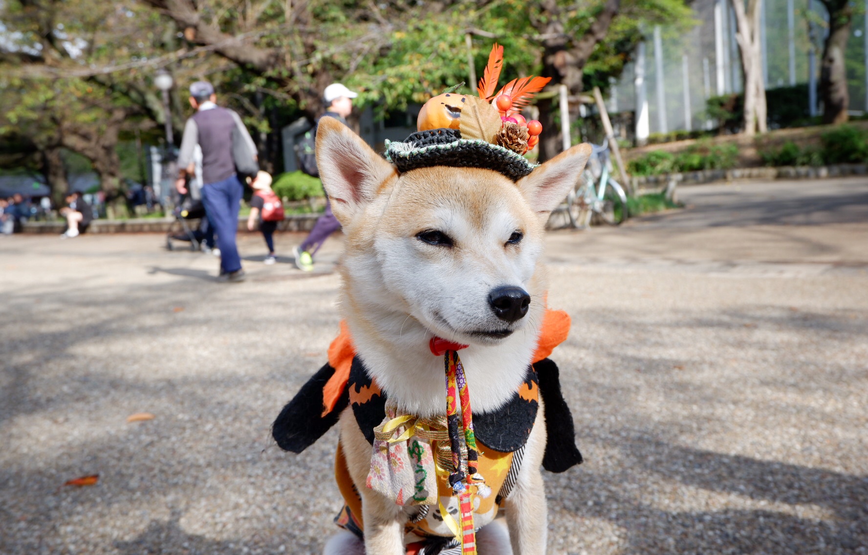 輕井澤自助遊攻略