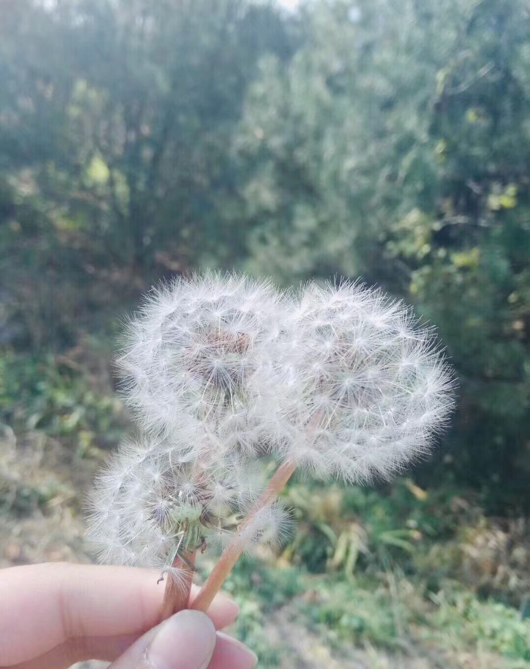 大自然园艺欢乐林庄教会你的孩子骑射图片40 石家庄旅游景点 风景名胜 马蜂窝图库 马蜂窝