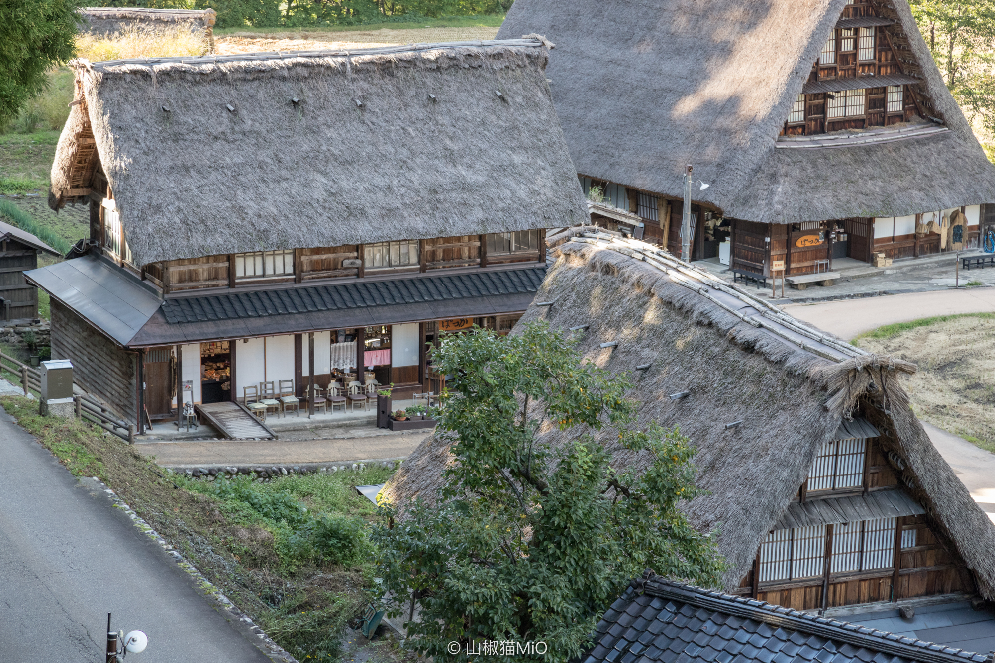 白川鄉自助遊攻略