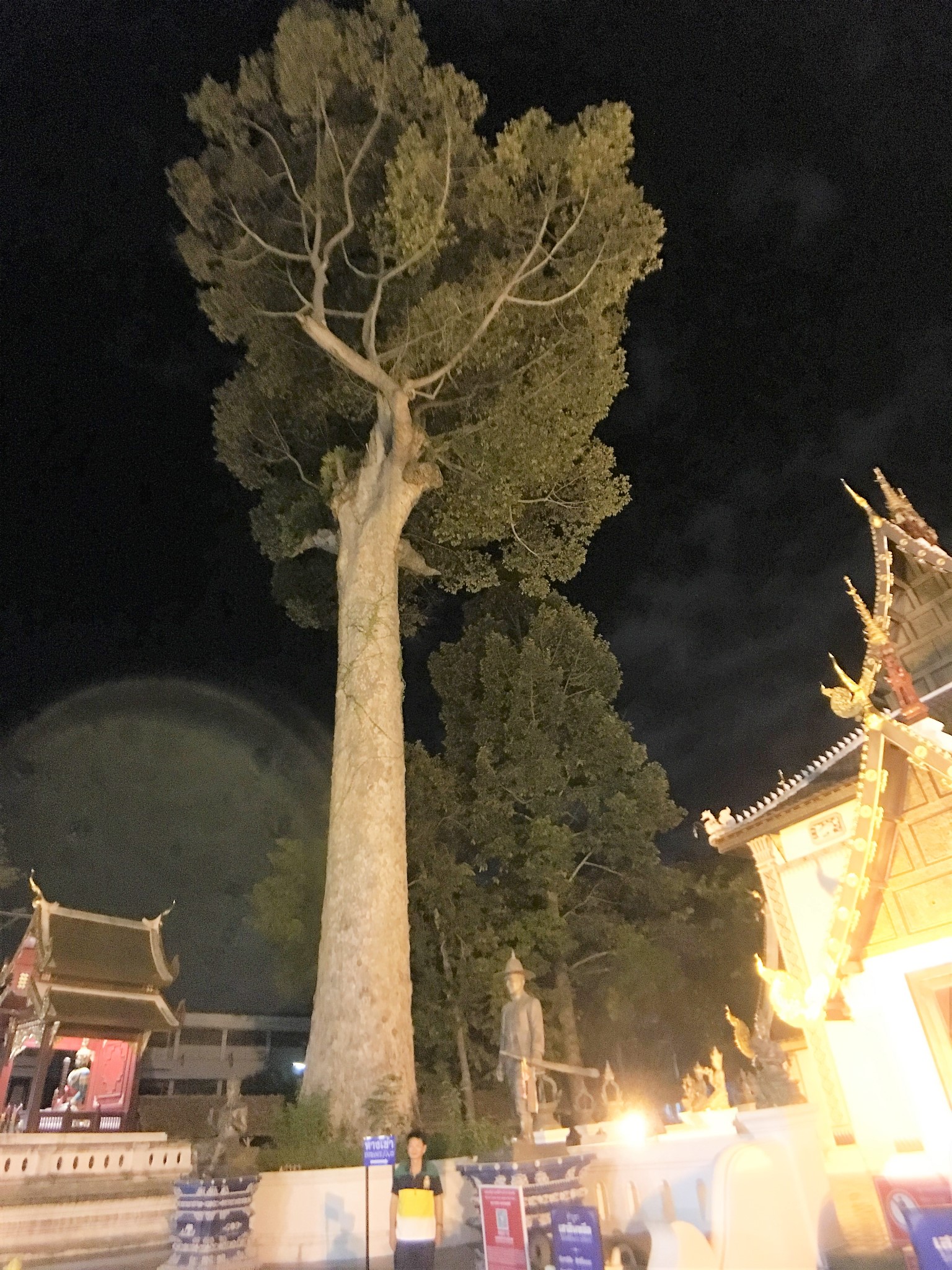 泰國自助遊攻略