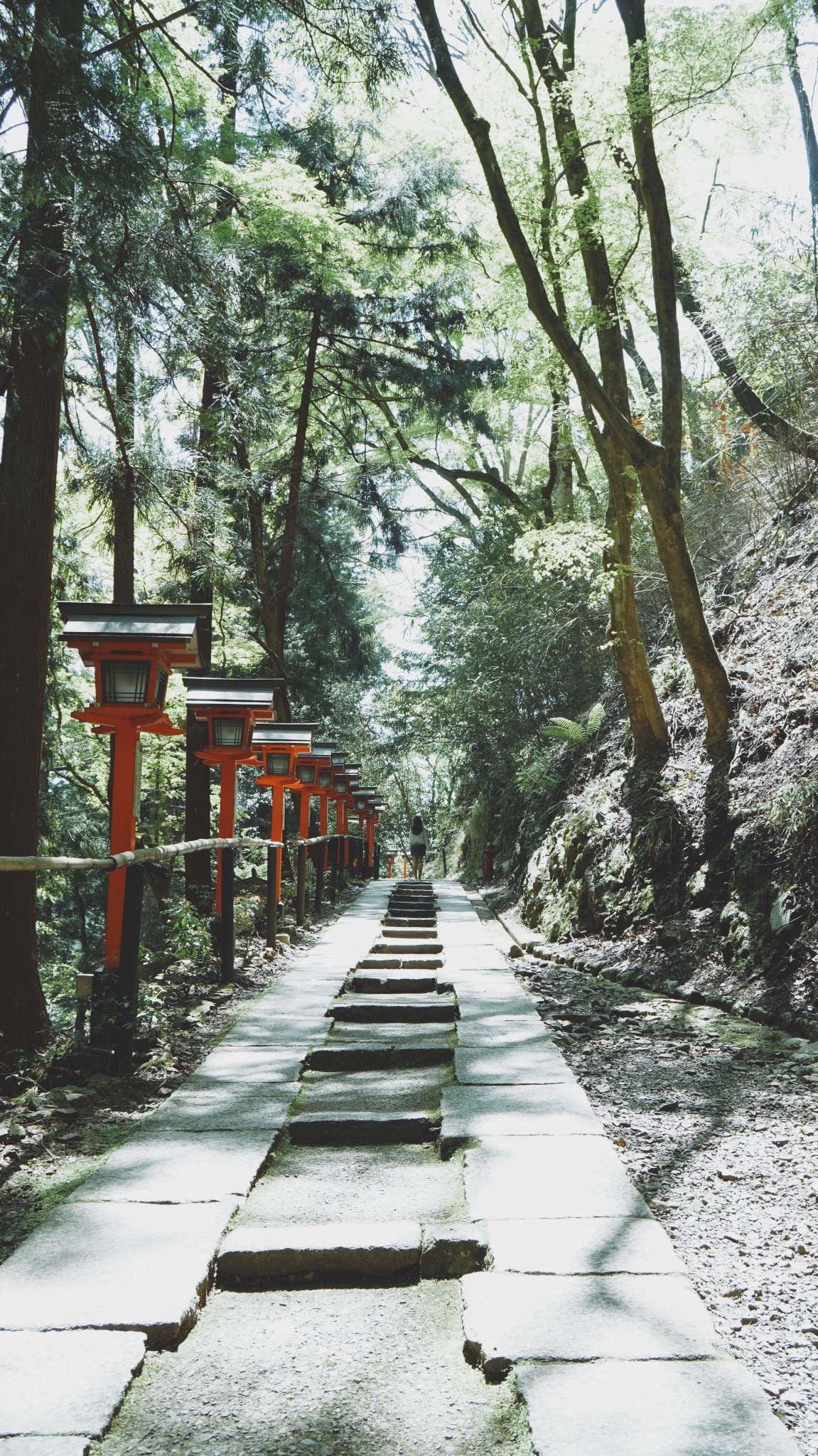 京都自助遊攻略