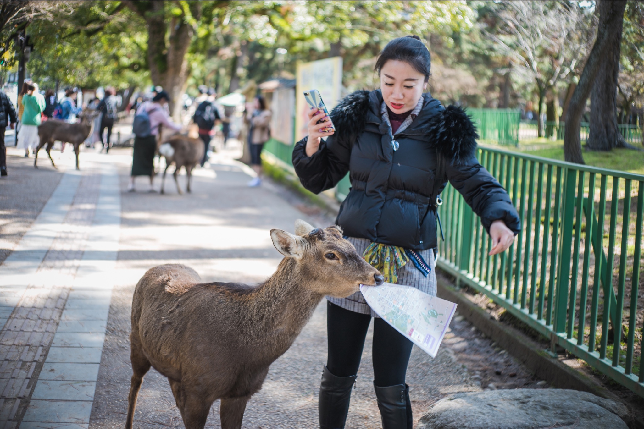 京都自助遊攻略