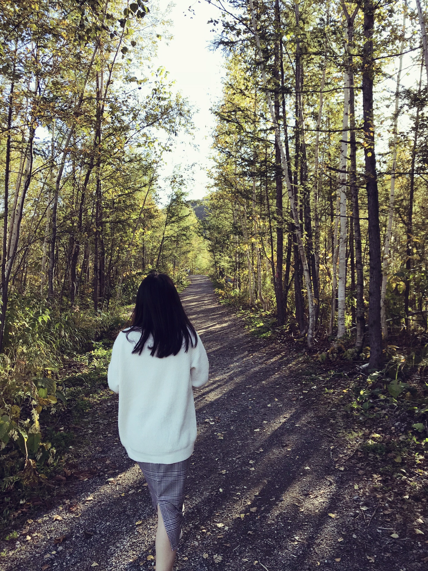 北海道自助遊攻略