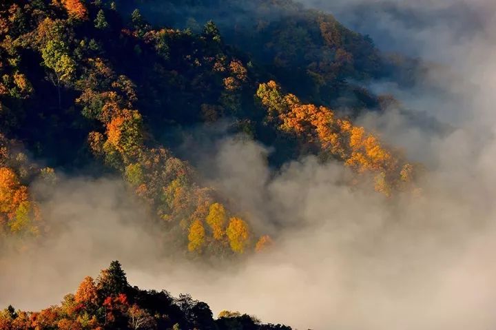 tips 地址:巴中市南江县光雾山镇 门票