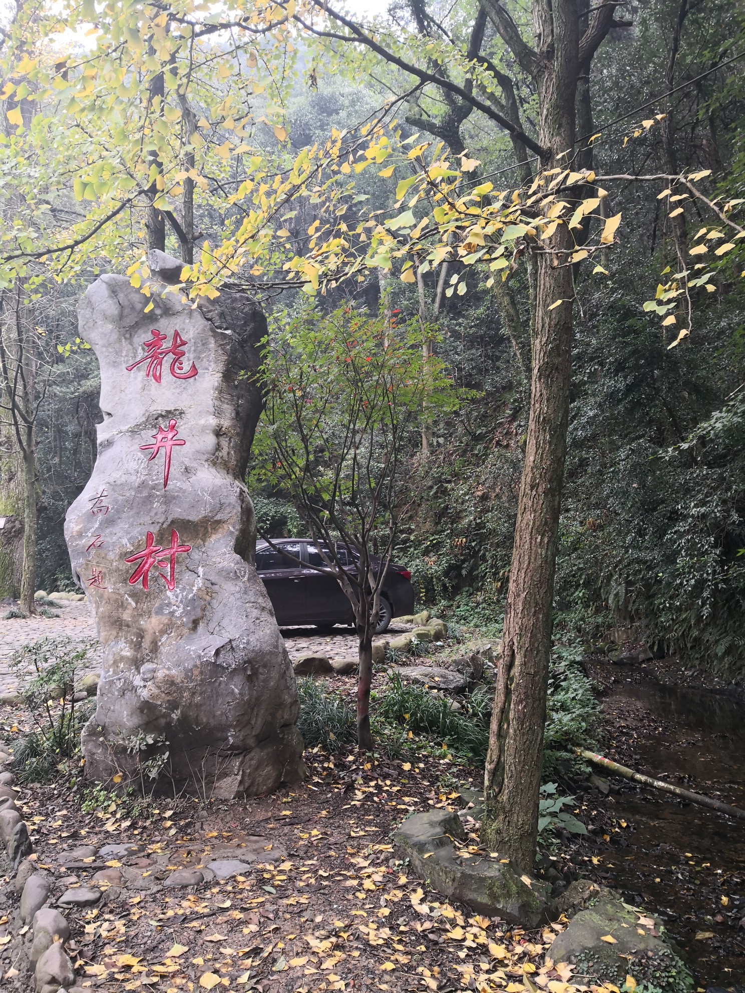 十八澗到龍井村,龍井寺,龍井八景,龍井問茶----走遍杭州,龍井旅遊攻略