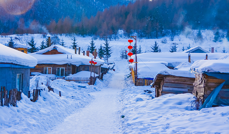 哈尔滨 雪乡 漠河 神州北极6日游(二晚民俗 激情滑雪2小时 雪地疯狂