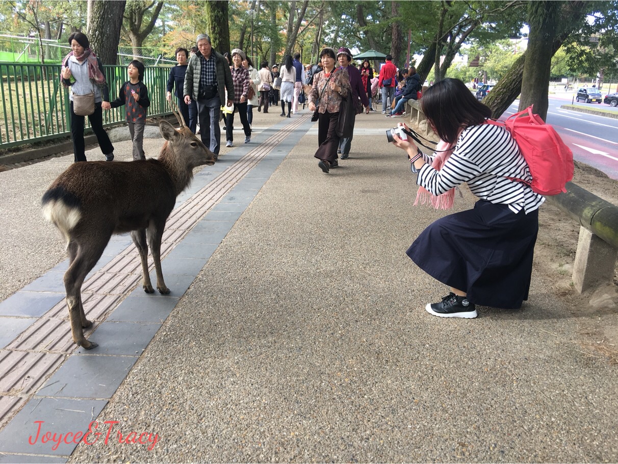 大阪自助遊攻略