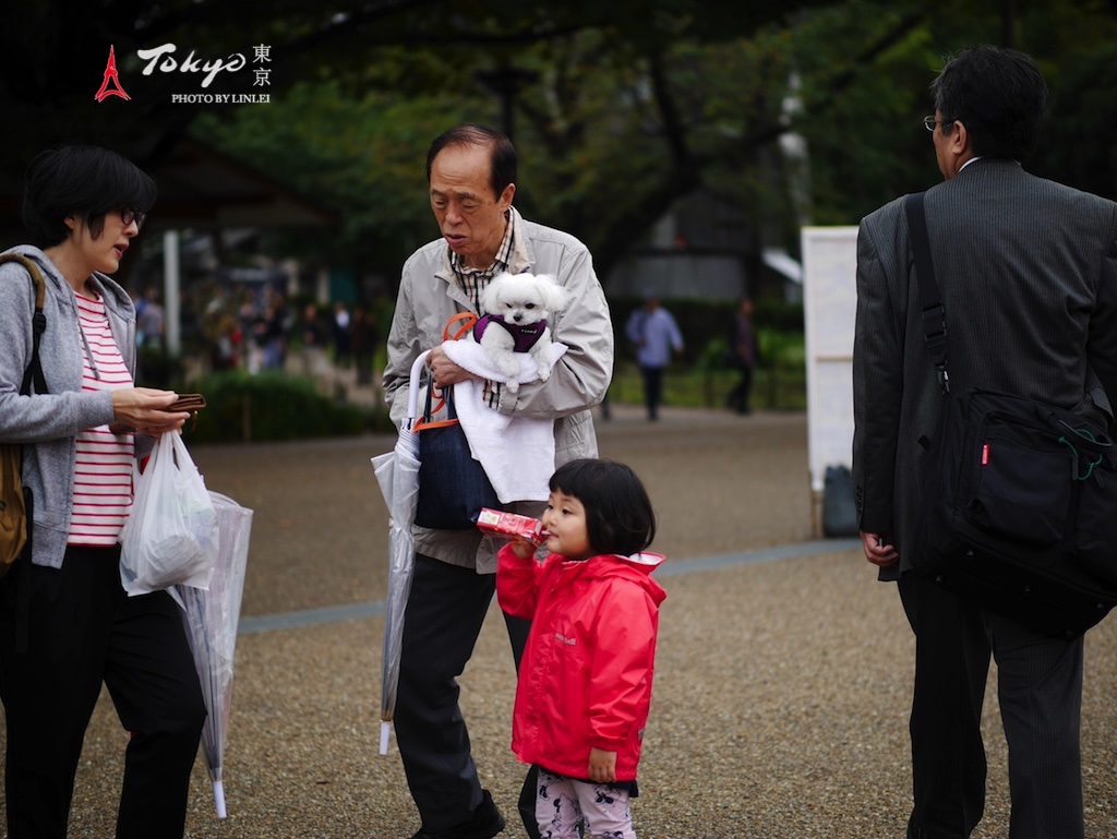 東京自助遊攻略