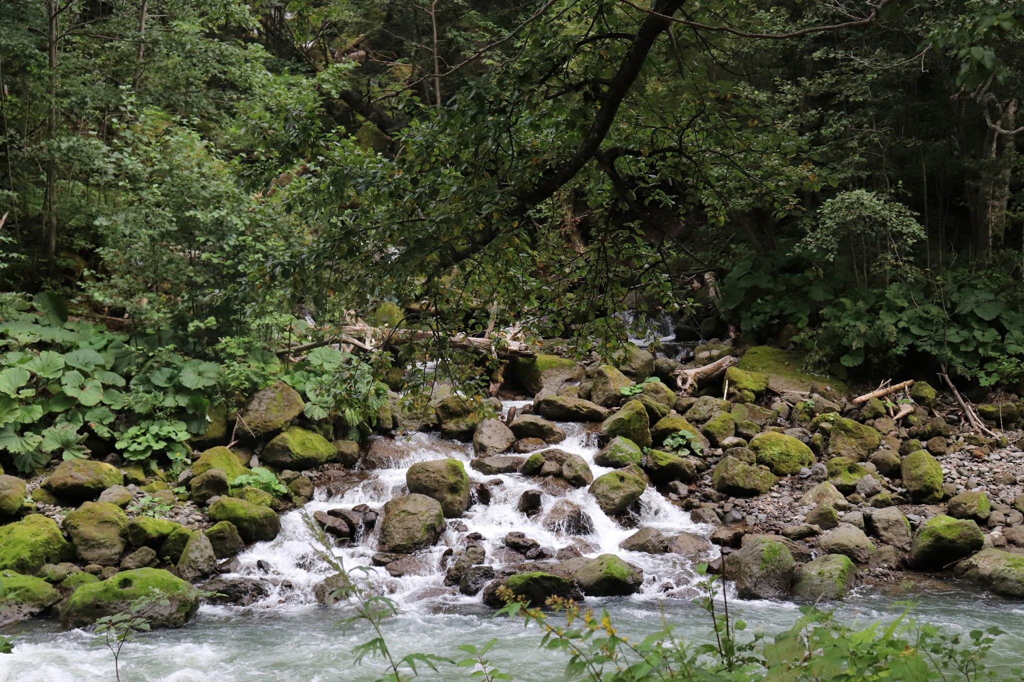 北海道自助遊攻略