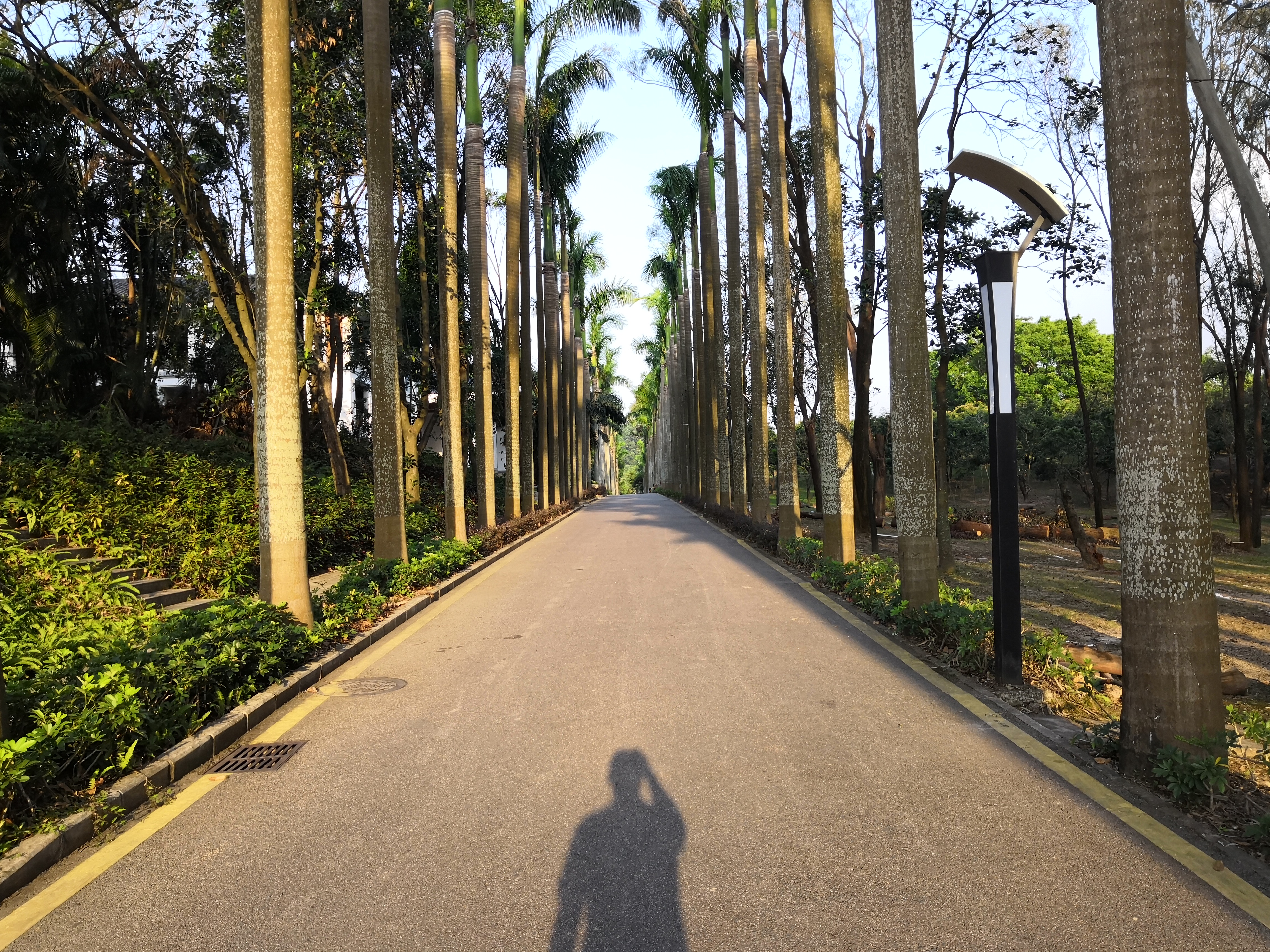 麒麟山庄疗养院果场