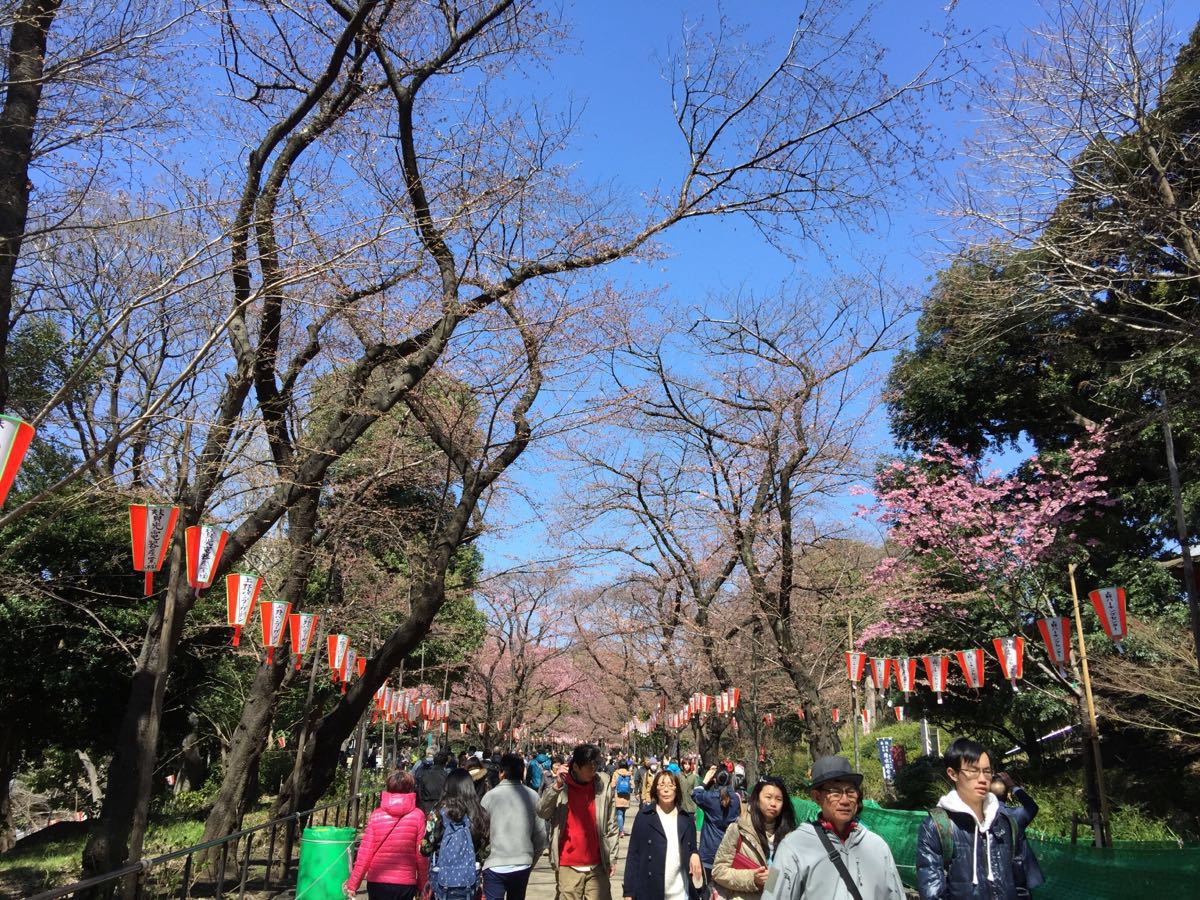 宁波出发日本本州5天4晚跟团游 直飞 温泉美汤 全程无自费 回程行李额免费升级至25kg 银座 御殿场奥特莱斯 马蜂窝自由行