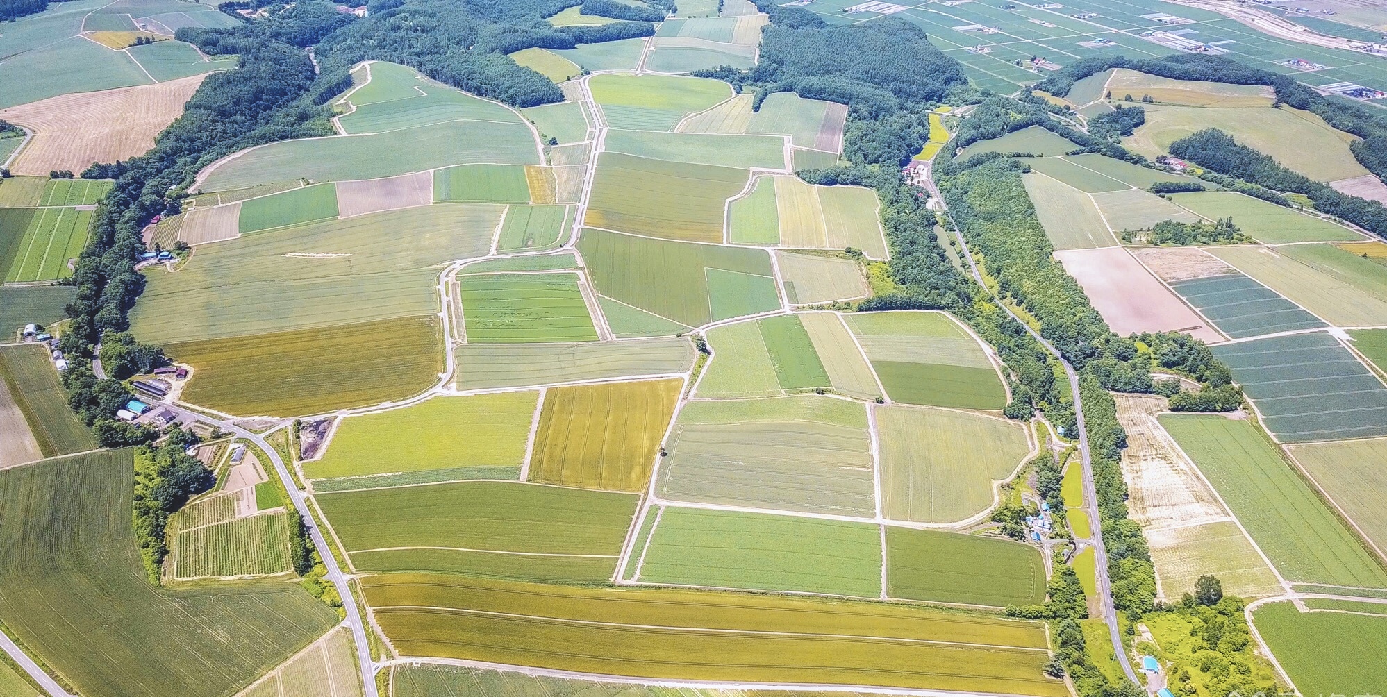 北海道自助遊攻略