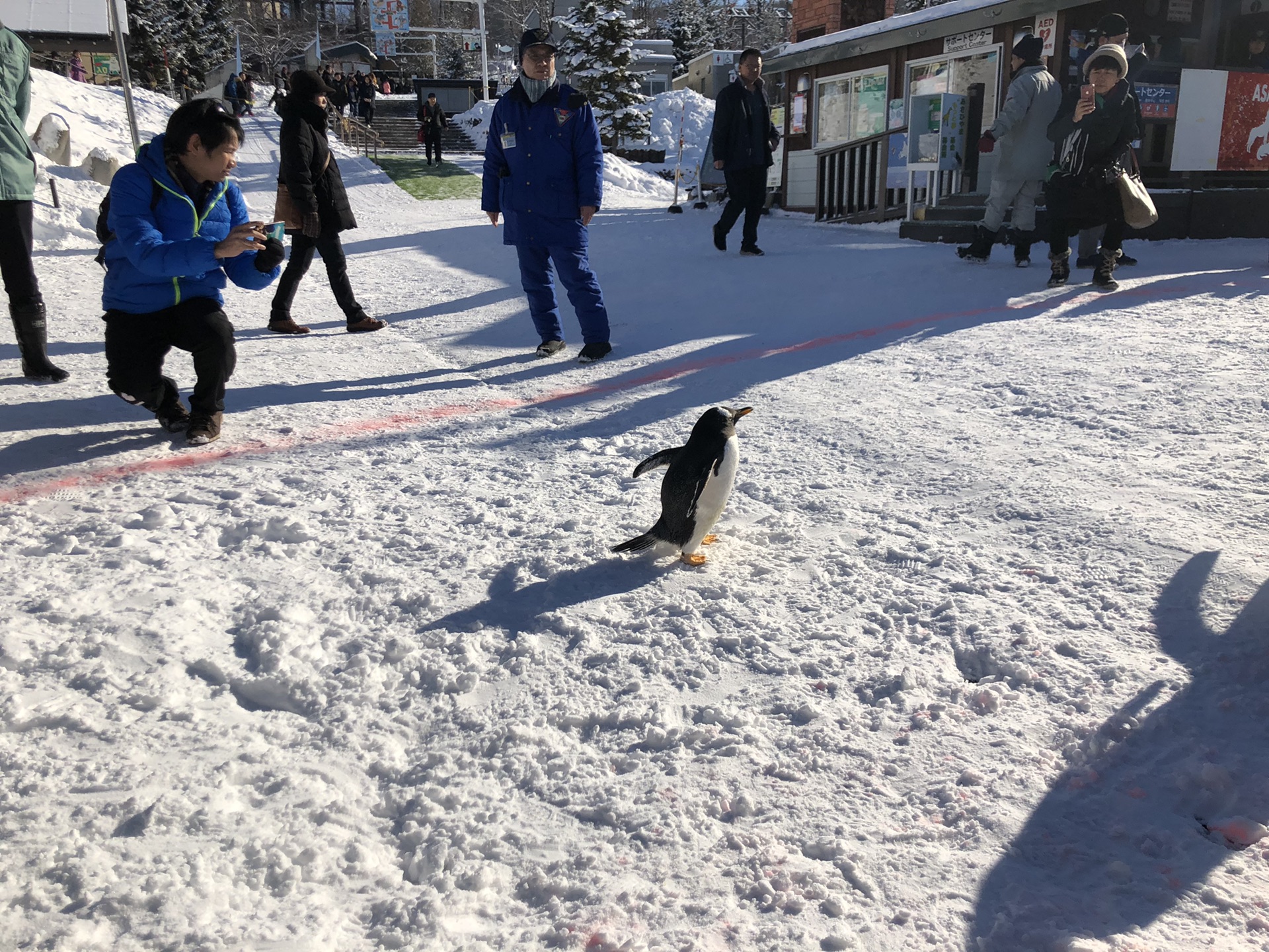 北海道自助遊攻略