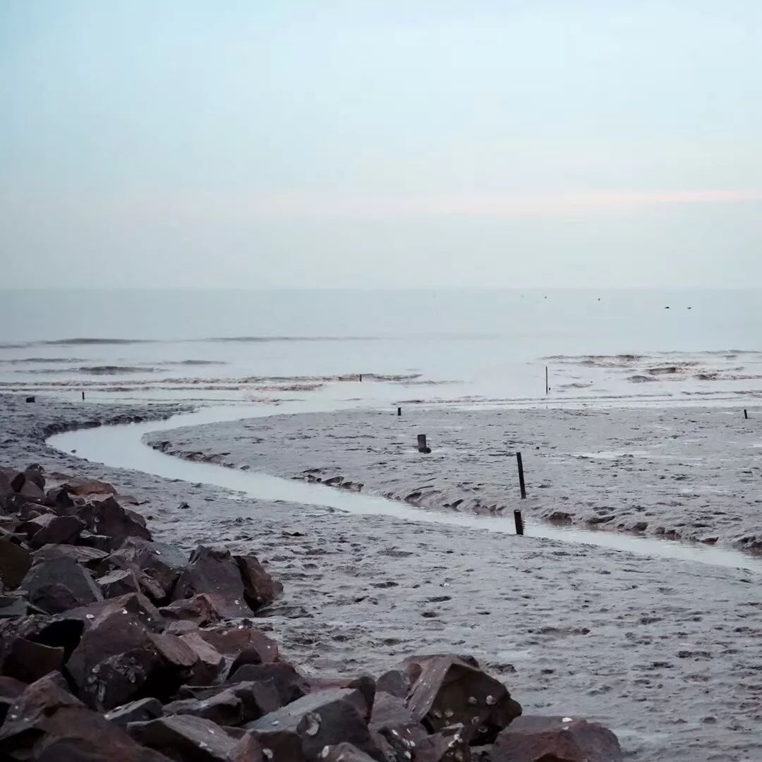 海盐:这个浙江海滨小县城,是"盐系旅行"的代表