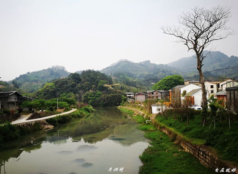 自驾车发现之旅(九): 诗情画意月洲村