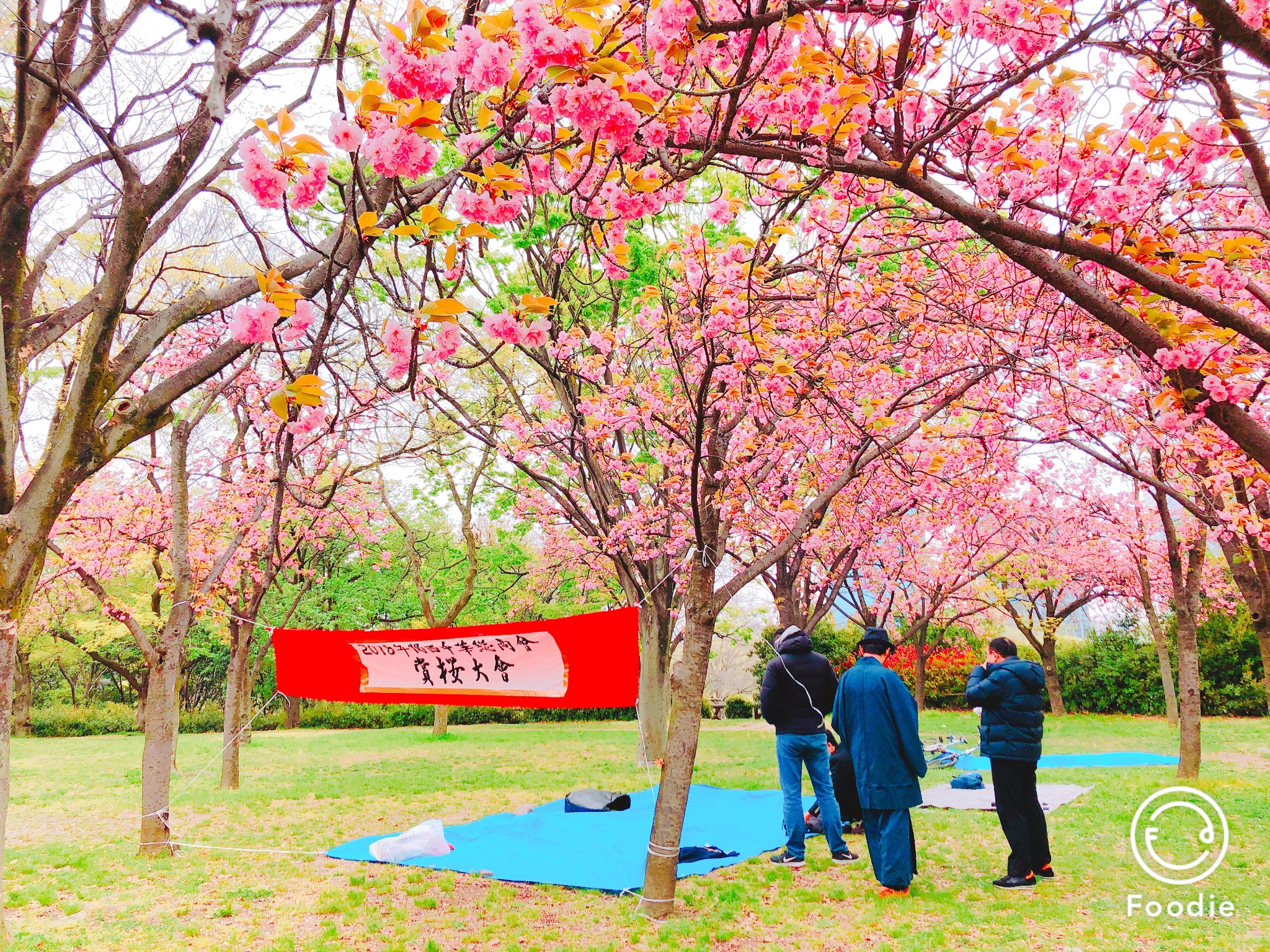 日本自助遊攻略