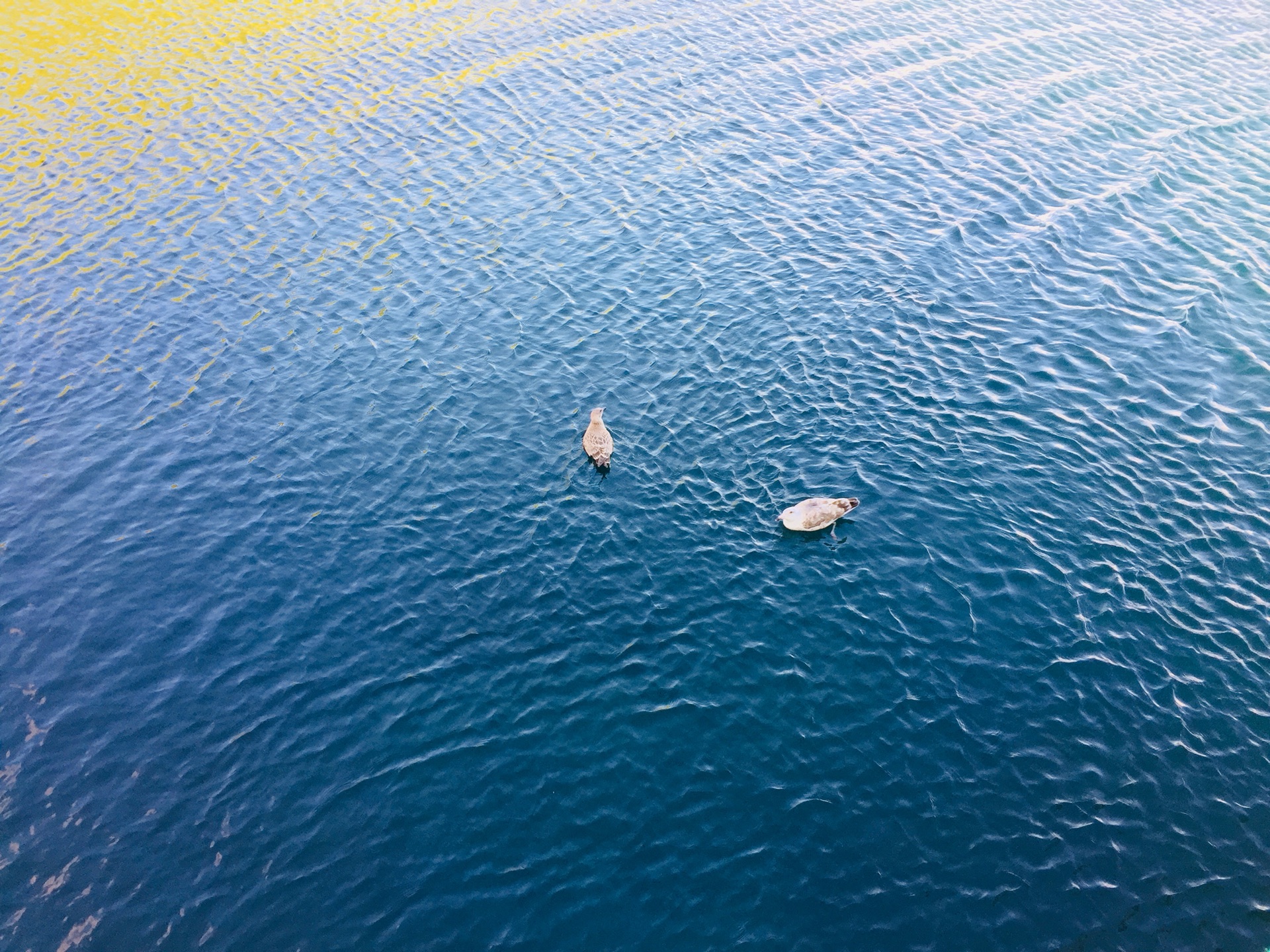 北海道自助遊攻略