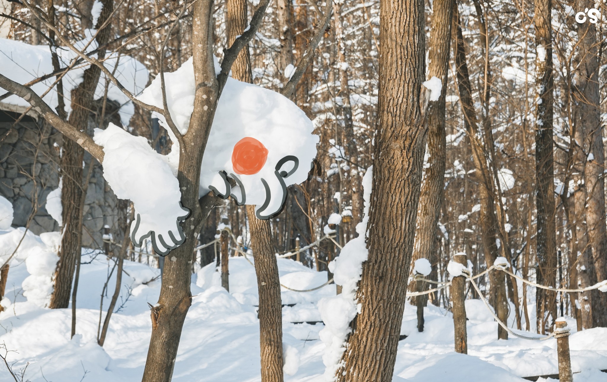 北海道自助遊攻略