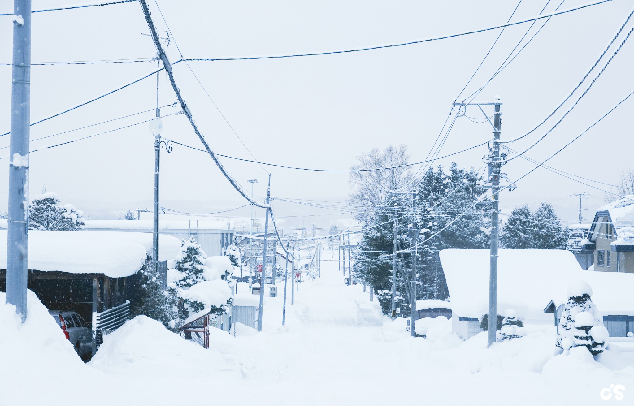 北海道自助遊攻略