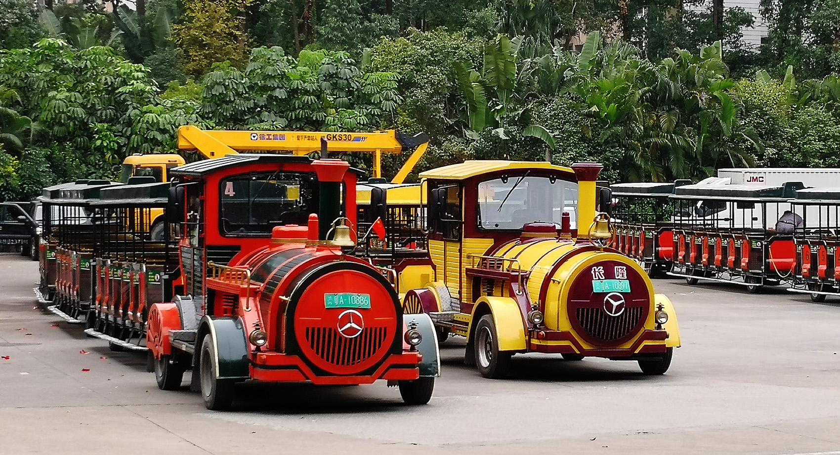 广州长隆:坐小火车穿越五大洲,带孩子看异域野生动物