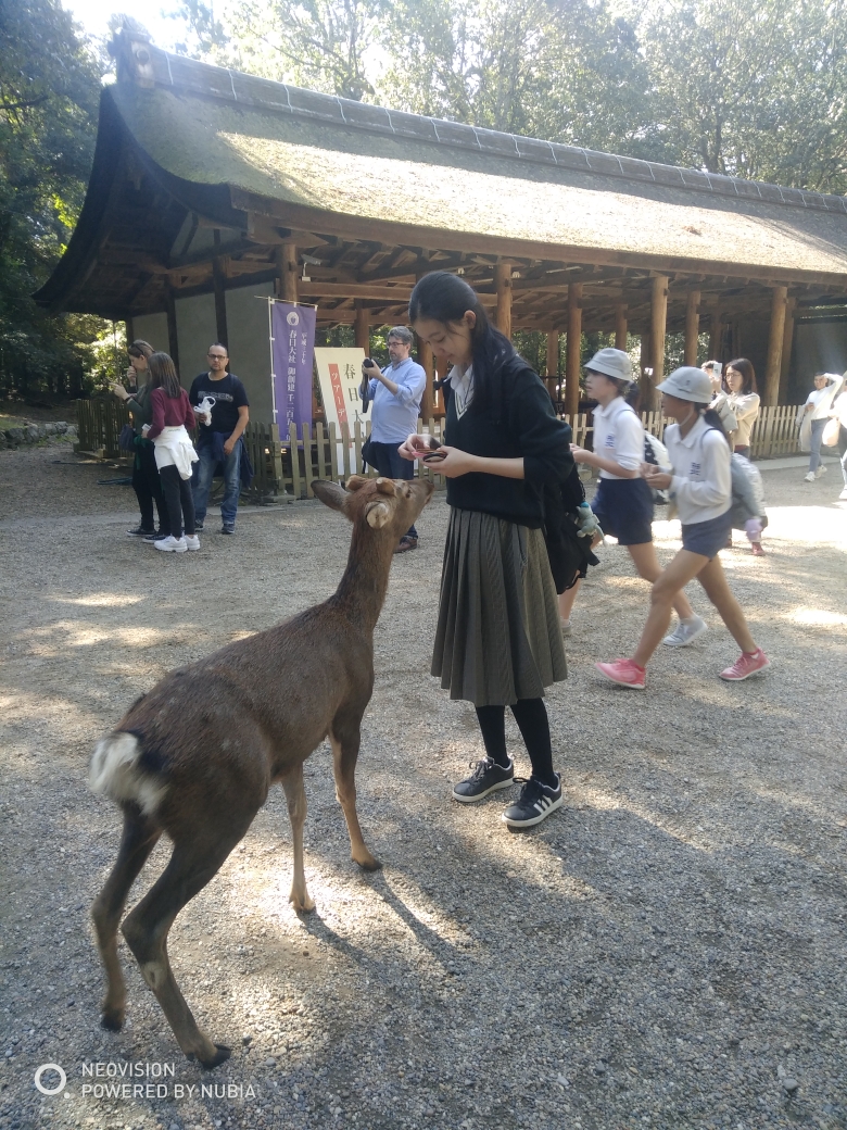 日本自助遊攻略