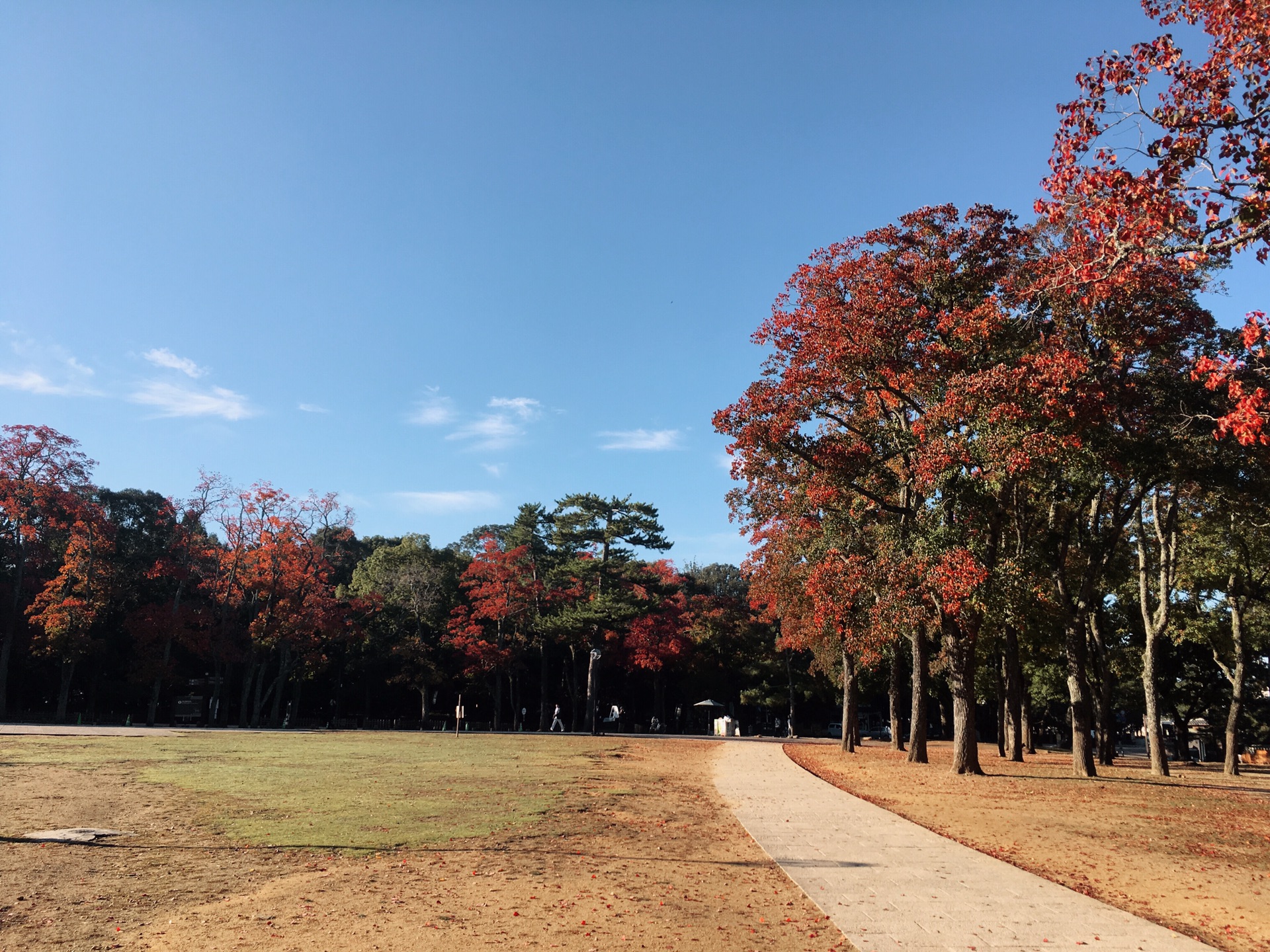 京都自助遊攻略