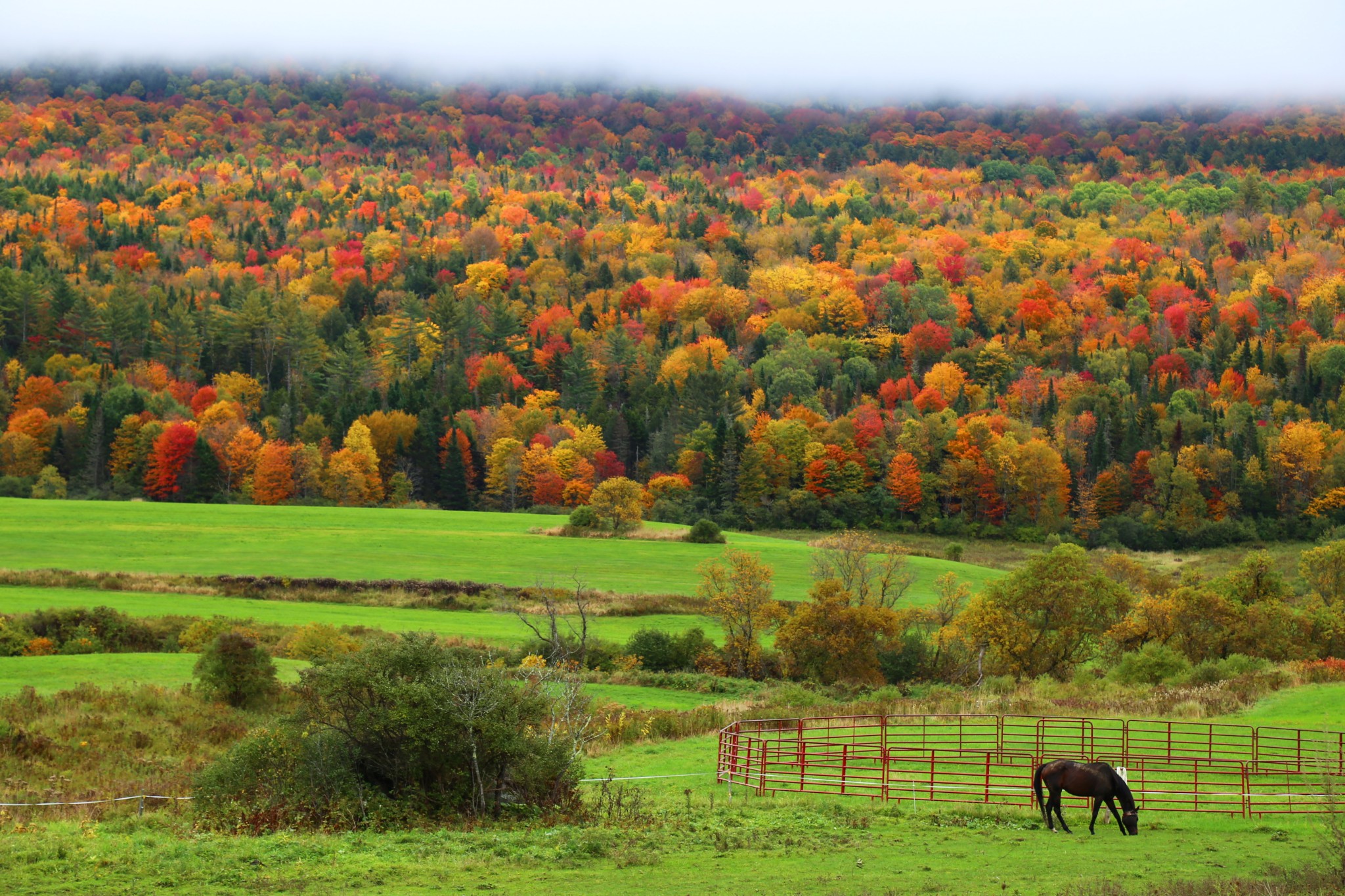 美东新英格兰8天自驾,秋色绚烂_游记