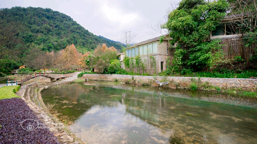 仁化天氣 仁化地圖 仁化遊記 仁化圖片 仁化酒店 仁化攻略 仁化景點