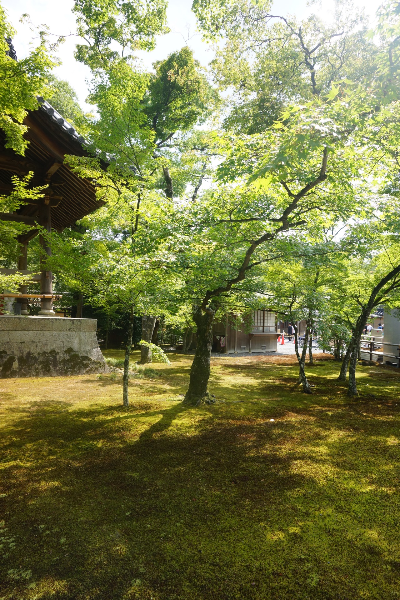 日本之行之二———鹿苑寺