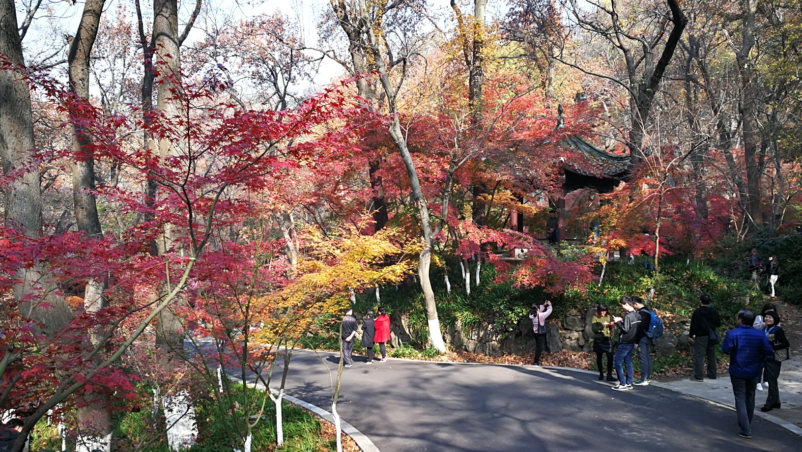 南京秋色一一棲霞山,南京旅遊攻略 - 馬蜂窩