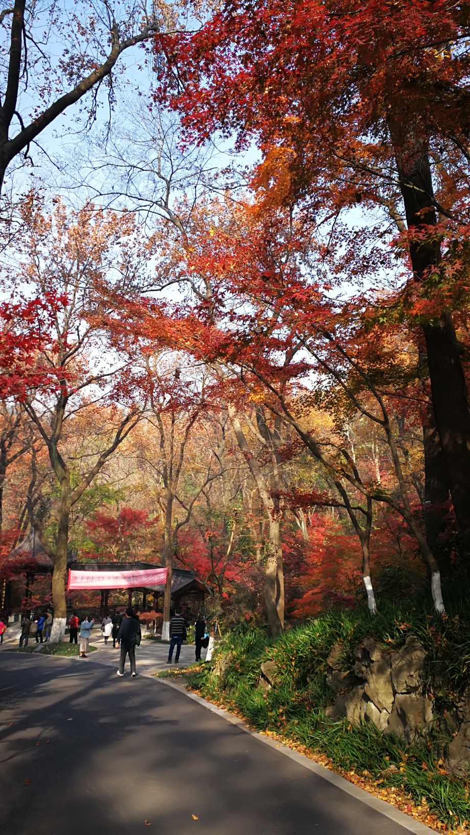 南京秋色一一棲霞山,南京旅遊攻略 - 馬蜂窩