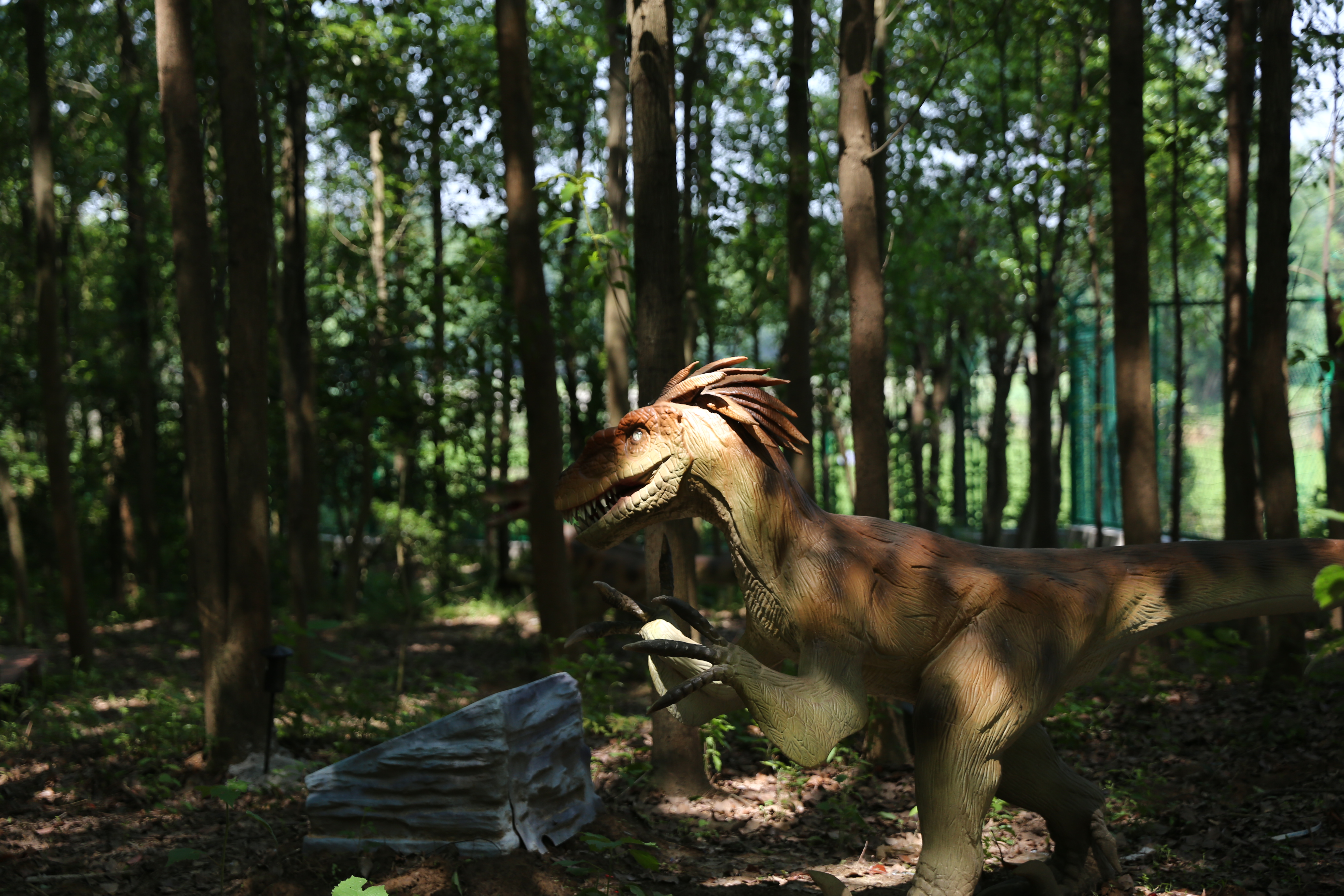悦兮半岛国际温泉度假村 悦兮半岛温泉度假酒店住宿1晚 悦兮半岛温泉
