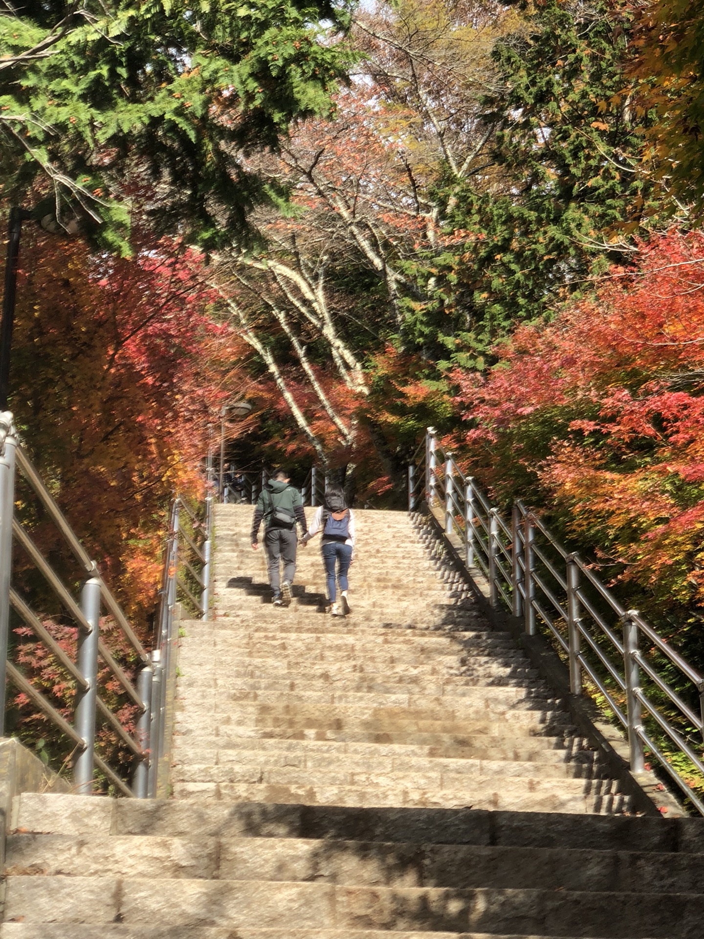 東京自助遊攻略