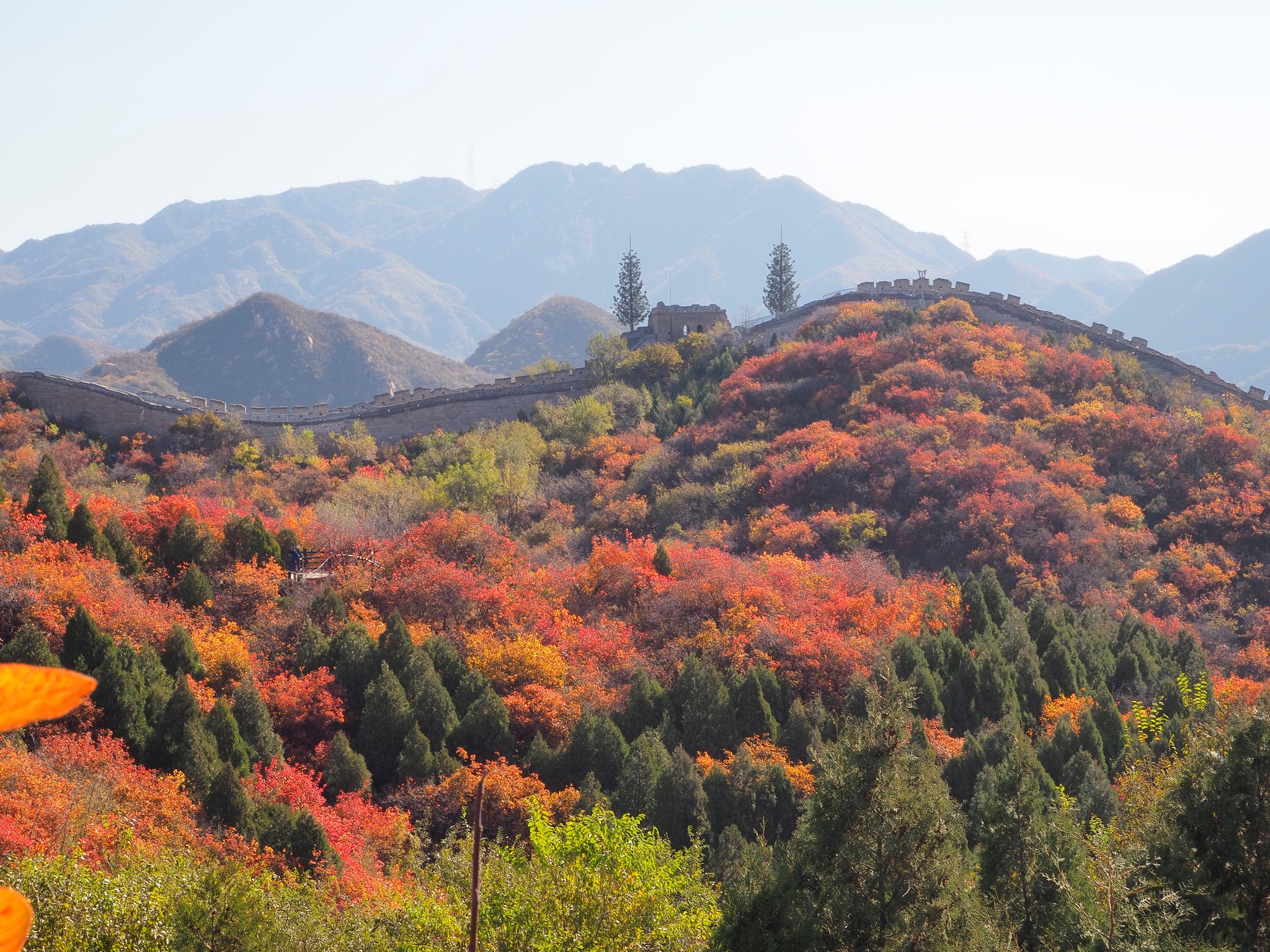 八達嶺長城的紅葉嶺