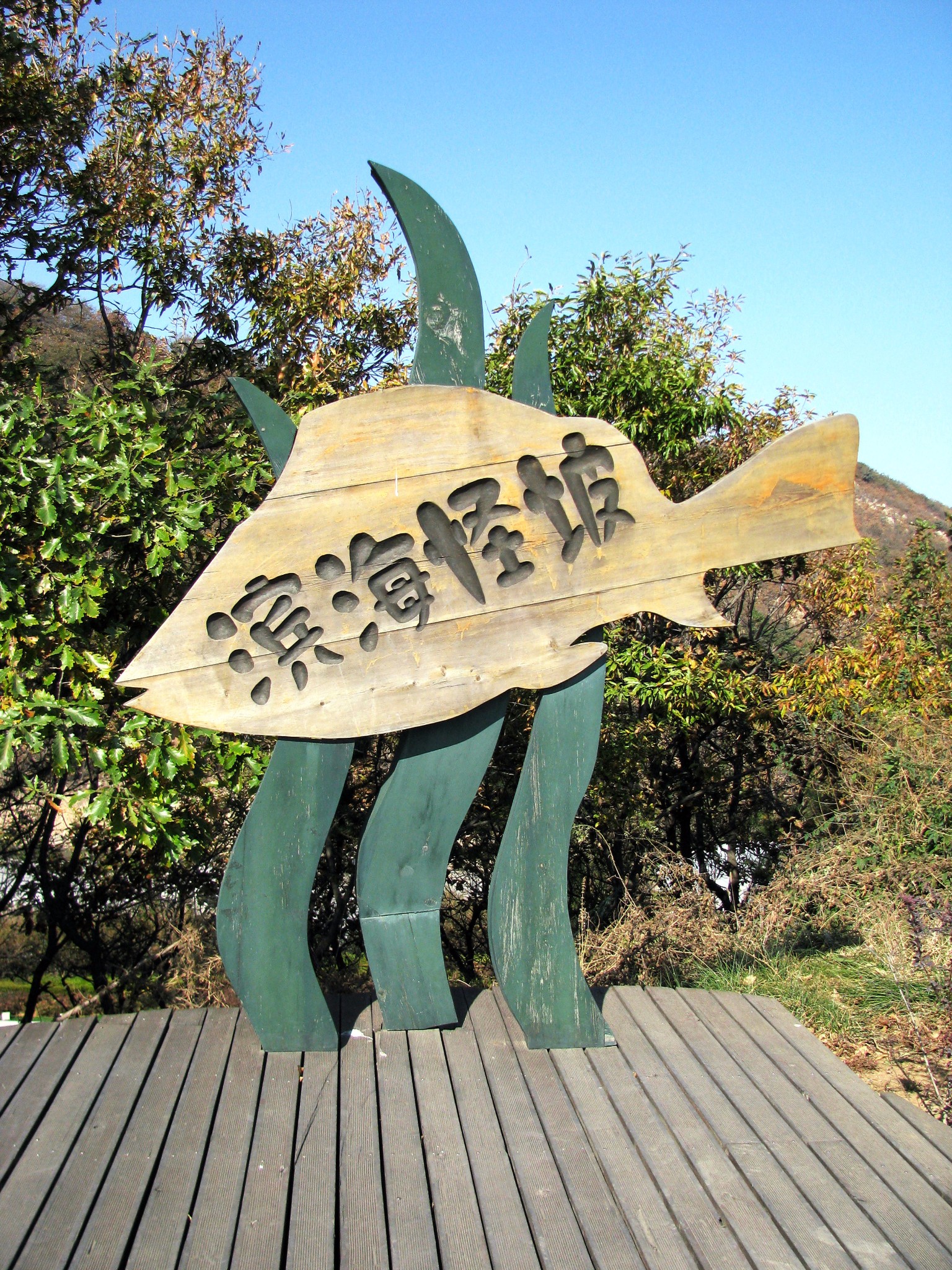 棒棰岛,也因远处那形似"棒槌"小岛而得名                  滨海怪坡