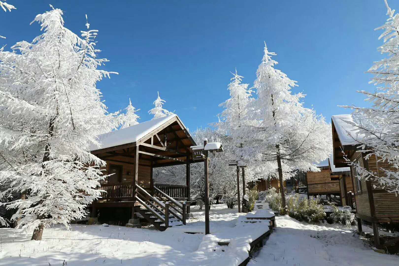 冬季滑雪哪裡去?南國雪鄉神農架