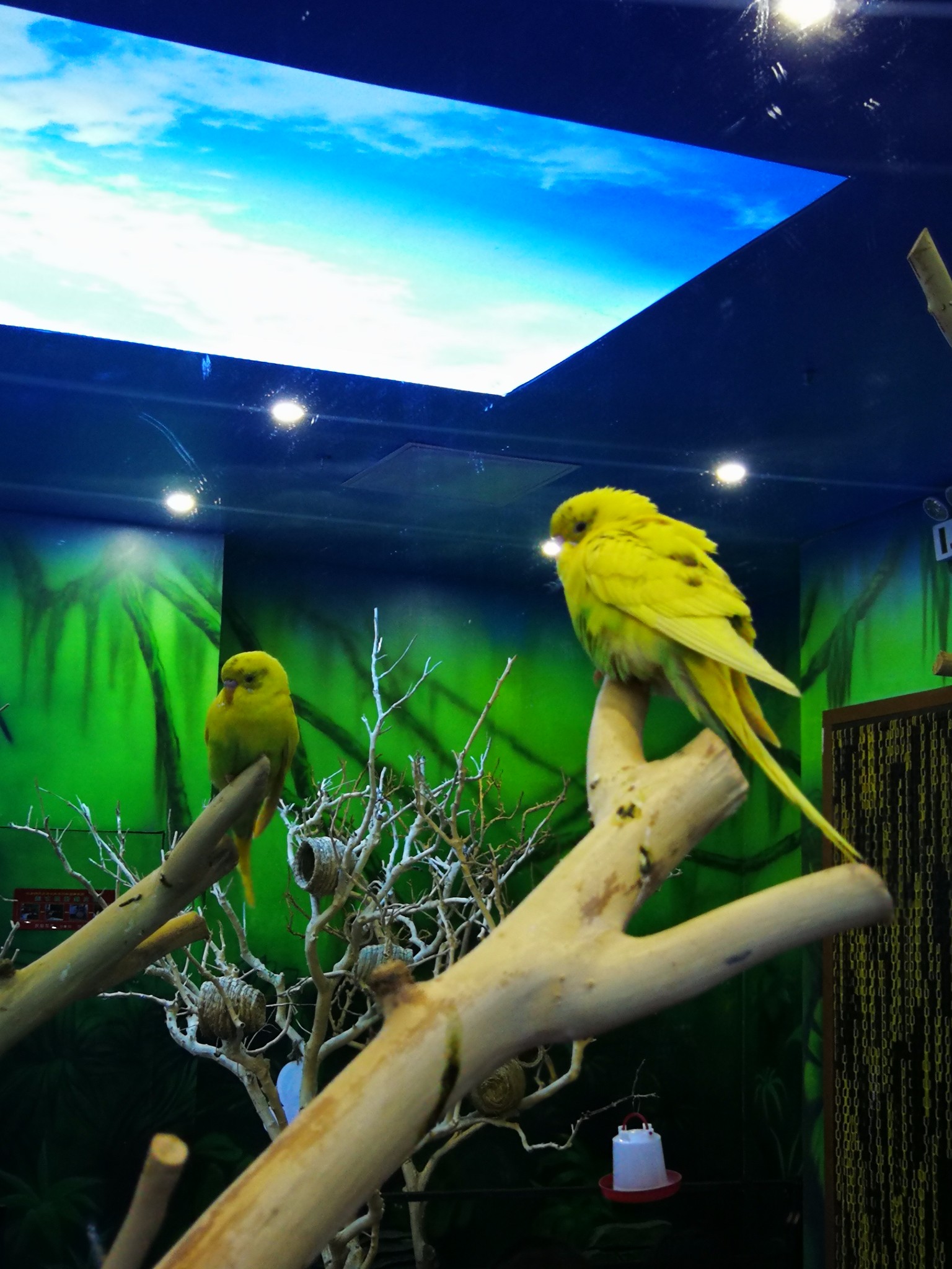 3000 平方米的未来动物城落户沈阳中街,快来打卡!