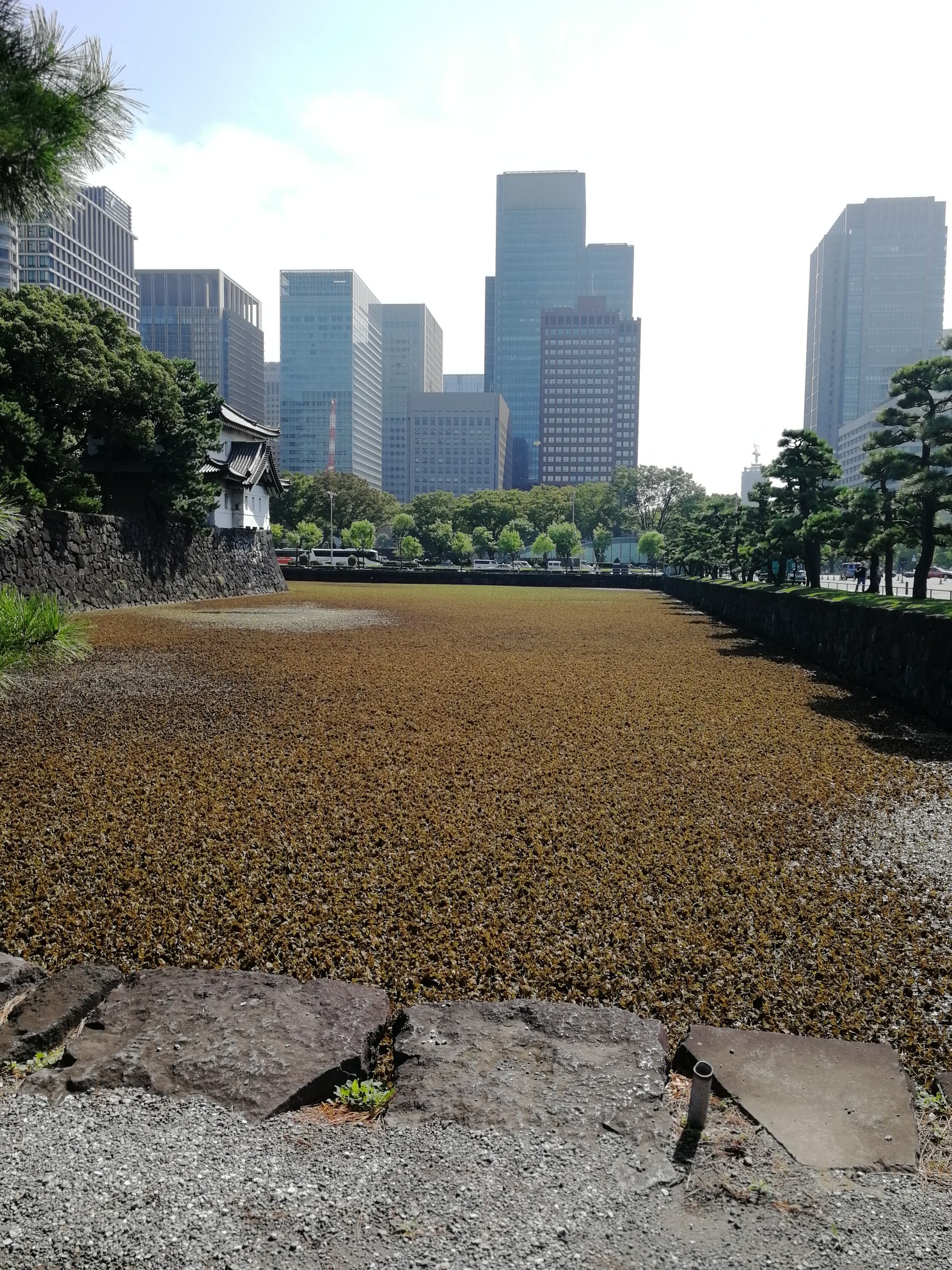 東京自助遊攻略