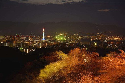 京都舞妓晚宴 京都风怀石料理 松山庭园散步 京都夜景展望 车内搭载中文解说系统 马蜂窝自由行 马蜂窝自由行